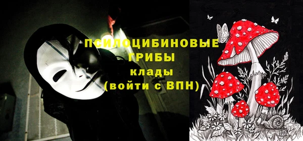 2c-b Алексеевка